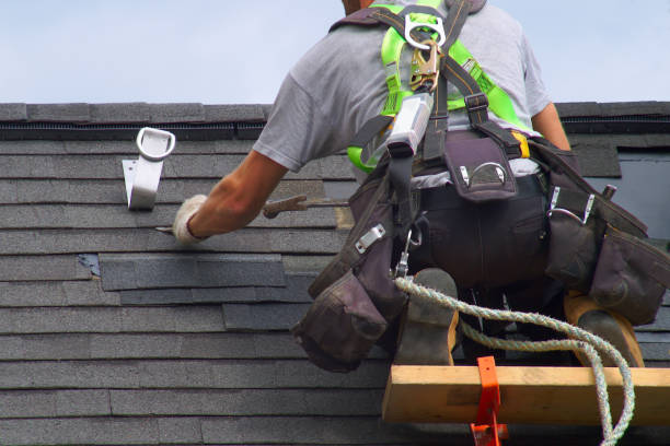 Best Roof Gutter Cleaning  in Des Peres, MO