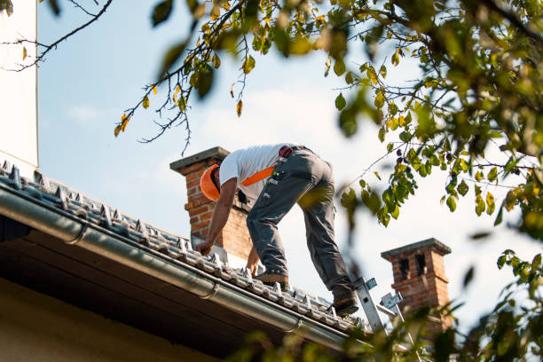 Professional Roofing Contractor in Des Peres, MO