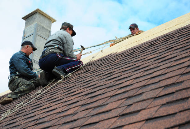 Best Roof Maintenance Services  in Des Peres, MO